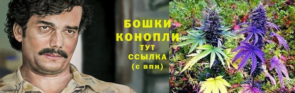 трава Киренск