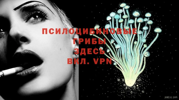 трава Киренск