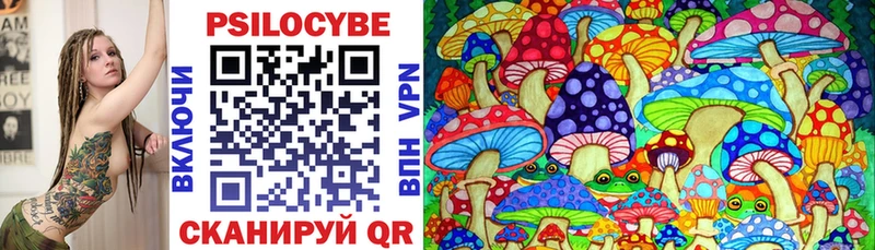 Купить закладки Чекалин Галлюциногенные грибы Cubensis